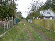 Дмитрівка з panoramio.com