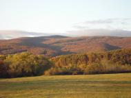 Гута з panoramio.com