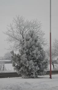 Великі Лучки з panoramio.com