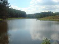 Стеблів з panoramio.com