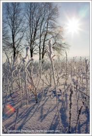 Липці з panoramio.com