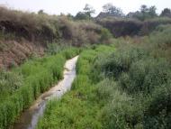 Нова Іванівка з panoramio.com