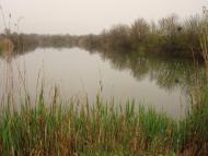 Сонячний - Останні фото