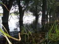 Комишуваха з panoramio.com