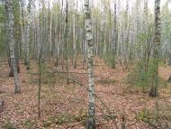 Якубівка з panoramio.com