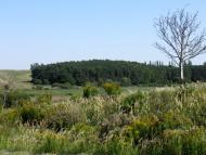 Воютин з panoramio.com