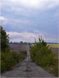 Пичугине - Останні фото