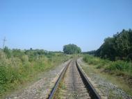 Панівці з panoramio.com