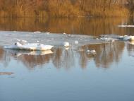 Озаричі з panoramio.com