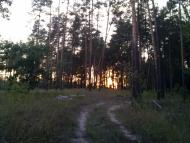 Студенок з panoramio.com