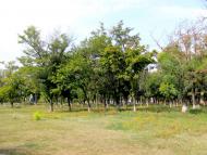 Новий Буг з panoramio.com