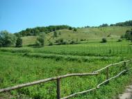 Зеленів з panoramio.com