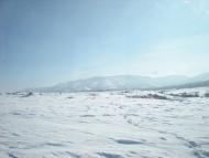 Привітне - Останні фото