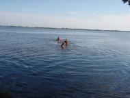 Дольськ з panoramio.com