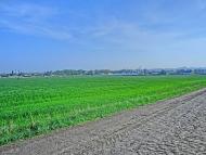 Войнівка з panoramio.com