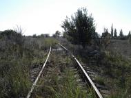 Петрівка з panoramio.com