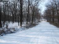 Малинівка з panoramio.com