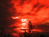 Березань з panoramio.com