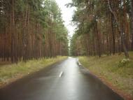 Чернеччина з panoramio.com