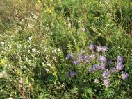 Верхня Слобідка з panoramio.com