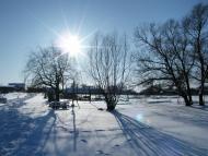 Андріївка з panoramio.com