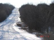 Вікторівка з panoramio.com