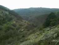 Орлине з panoramio.com