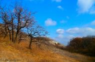 Красне з panoramio.com