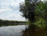 Литовка з panoramio.com