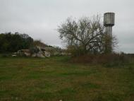 Закружцы - Последние фото