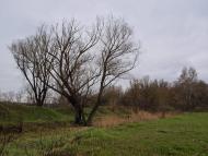 Новоселівка з panoramio.com