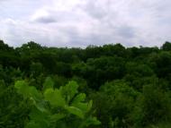 Малоіванівка з panoramio.com
