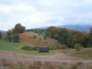 Березники з panoramio.com