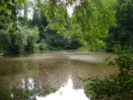 Шпичинці з panoramio.com