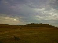 Каштани з panoramio.com