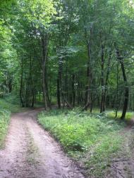 Княже з panoramio.com