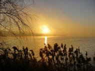 Забір'я з panoramio.com