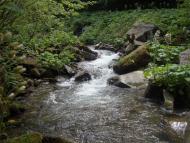 Мерешор з panoramio.com