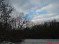 Омельник з panoramio.com