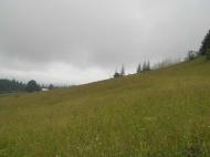 Кривопілля з panoramio.com - Кривопілля