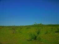 Лазарівка з panoramio.com