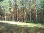 Студенок з panoramio.com