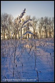 Липці з panoramio.com