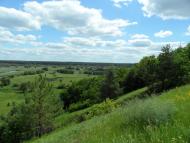 Литовка з panoramio.com