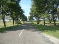 Петруші з panoramio.com