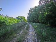 Пустельникове з panoramio.com