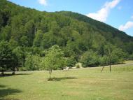 Turya Polyana - Latest photos