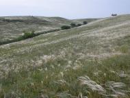 Заможне - Останні фото