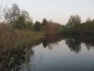 Горошківка з panoramio.com