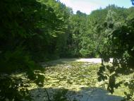 Селище з panoramio.com